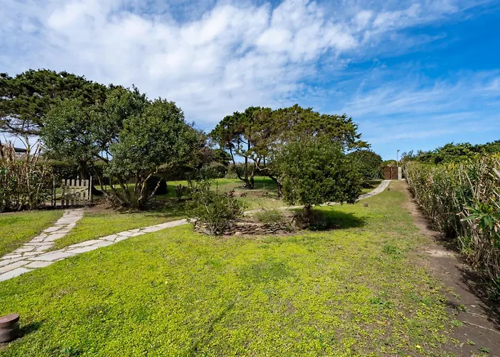 別荘 Esclusiva Con 600mq Di Giardino Sulla Della Pelosa スティンティーノ